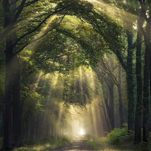 日本女人京香配种视频
